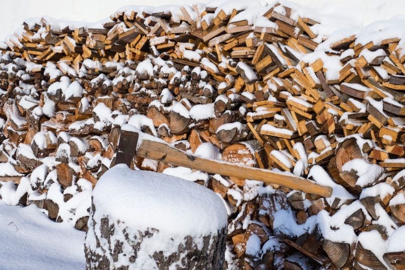 Choosing the Perfect Wood for Your Canadian Wood Cook Stove Choosing the Perfect Wood for Your Canadian Wood Cook Stove